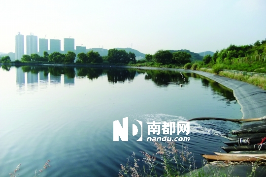 <p> 打鼓嶺堆填區(qū)其中一處污水儲存池，背后就是深圳蓮塘的高層住宅。南都記者 康殷 攝</p>