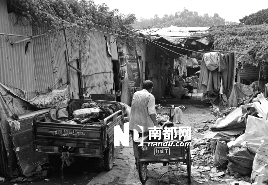 <p>    昨日下午，河南岸下馬莊南山園附近的大型廢品回收點內(nèi)，住在棚戶區(qū)的外來人員載著行李四處尋找新的落腳點。</p>