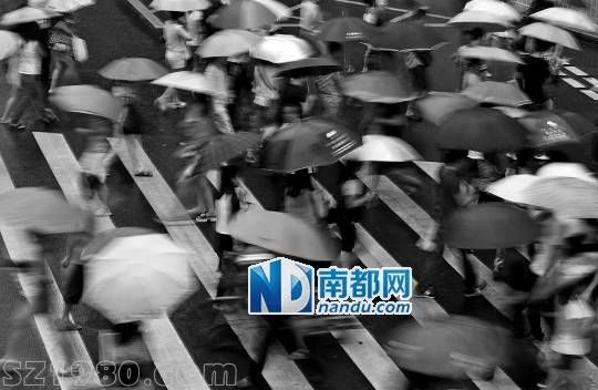<p>    22日傍晚，羅湖街頭， 天兔 帶來的風(fēng)雨正逐漸增大，行色匆匆下班的人群。 南都記者 徐文閣 攝</p>