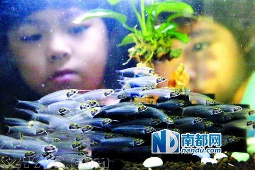 國(guó)慶黃金周廣州8000張景區(qū)門(mén)票免費(fèi)派