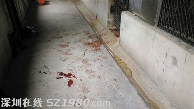 事發(fā)現(xiàn)場。圖/東方IC