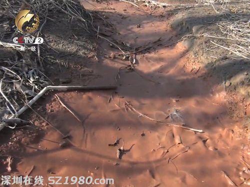 新金鋼鐵廠排出的污水流入棗樹地