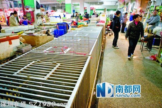 <a href=http://www.huhuzc.cn/shenzhen/ target=_blank class=infotextkey>深圳</a>H7N9患者住所附近市場(chǎng) 染病印傭曾來過