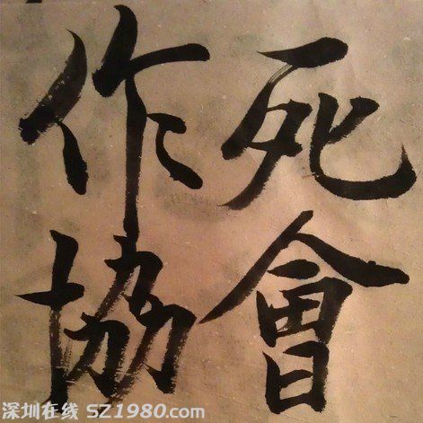 大學(xué)生在寢室養(yǎng)鱷魚 盤點(diǎn)大學(xué)奇葩事