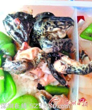 大學(xué)生在寢室養(yǎng)鱷魚 盤點(diǎn)大學(xué)奇葩事