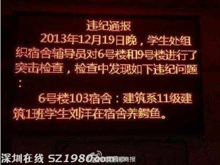 大學(xué)生在寢室養(yǎng)鱷魚 盤點(diǎn)大學(xué)奇葩事