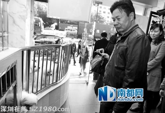 <a href=http://www.huhuzc.cn/shenzhen/ target=_blank class=infotextkey>深圳</a>城管局建議取消每年300元養(yǎng)犬管理費(fèi)