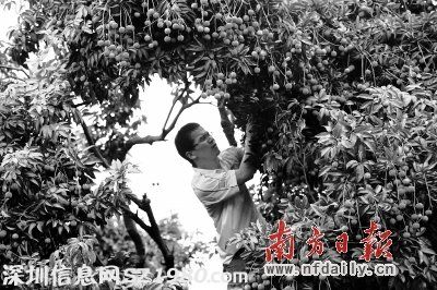這個月到南山吃喝玩樂去！