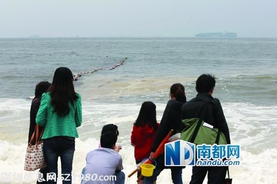<a href=http://www.huhuzc.cn/shenzhen/ target=_blank class=infotextkey>深圳</a>大梅沙漂浮大量暗黃色浮游植物
