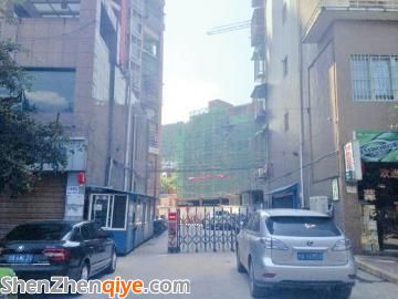 事發(fā)的瀘州古藺縣雙水岸小區(qū)。
