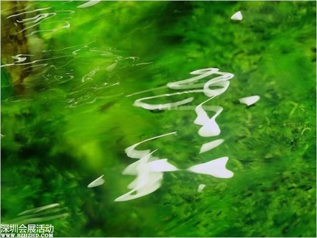 中紀委：河南省人大常委會副主任秦玉海被調查