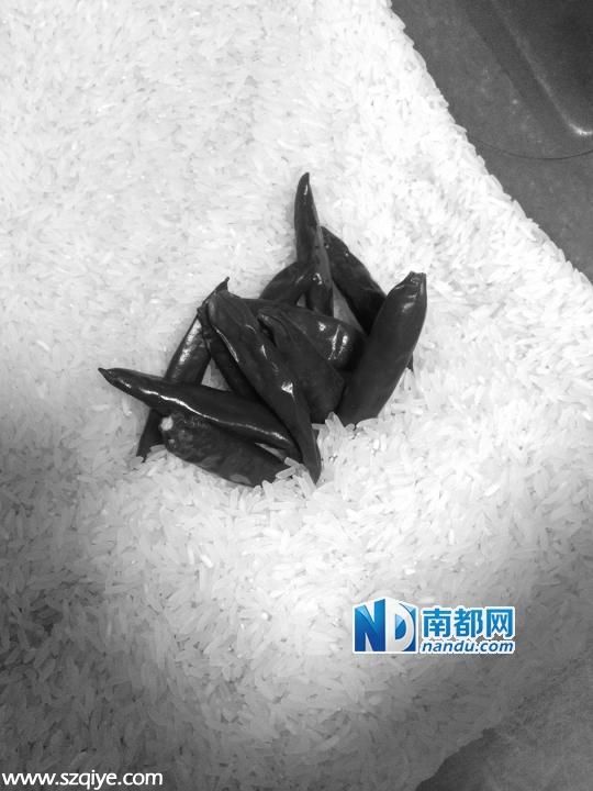 防潮利器哪個強：鹽水拖地不如報紙石灰