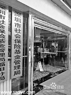 如何網(wǎng)上查詢(xún)深圳社保局本企業(yè)或單位和個(gè)人信息