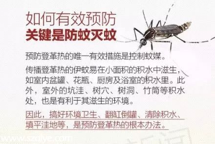 <a href=http://www.huhuzc.cn/shenzhen/ target=_blank class=infotextkey>深圳</a>(www.huhuzc.cn)登革熱高發(fā)季殺到 預(yù)防寶典趕快收藏！