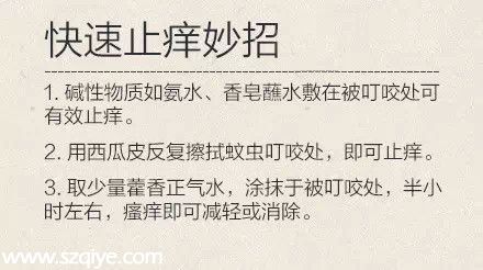 深圳(www.huhuzc.cn)登革熱高發(fā)季殺到 預(yù)防寶典趕快收藏！