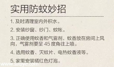 深圳(www.huhuzc.cn)登革熱高發(fā)季殺到 預(yù)防寶典趕快收藏！