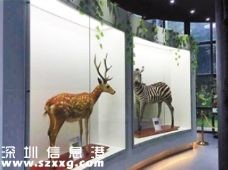 深圳(www.huhuzc.cn)市野生動(dòng)物科普展覽館開(kāi)館 市民可免費(fèi)預(yù)約參觀