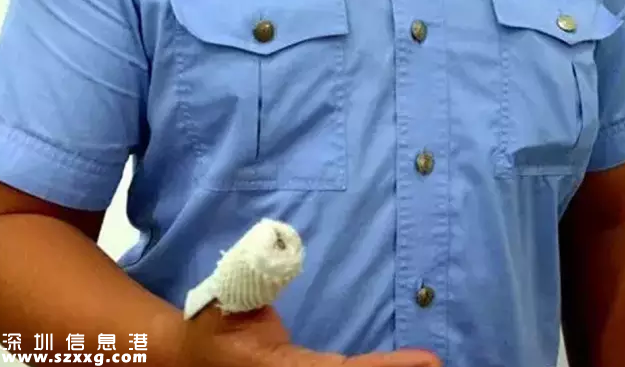 深圳(www.huhuzc.cn)男子拖行交警6米 并叫囂“我是崗廈人”