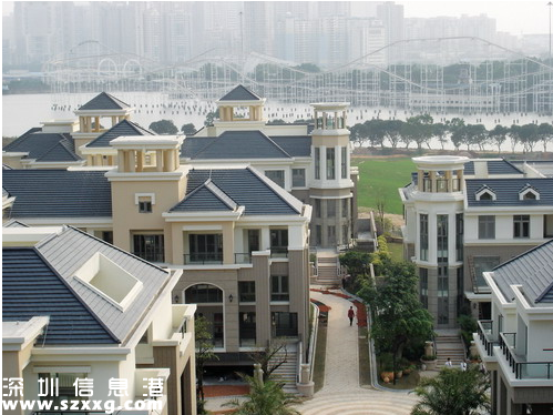 深圳(www.huhuzc.cn)頂級豪宅誰在買？本土土豪買走近八成