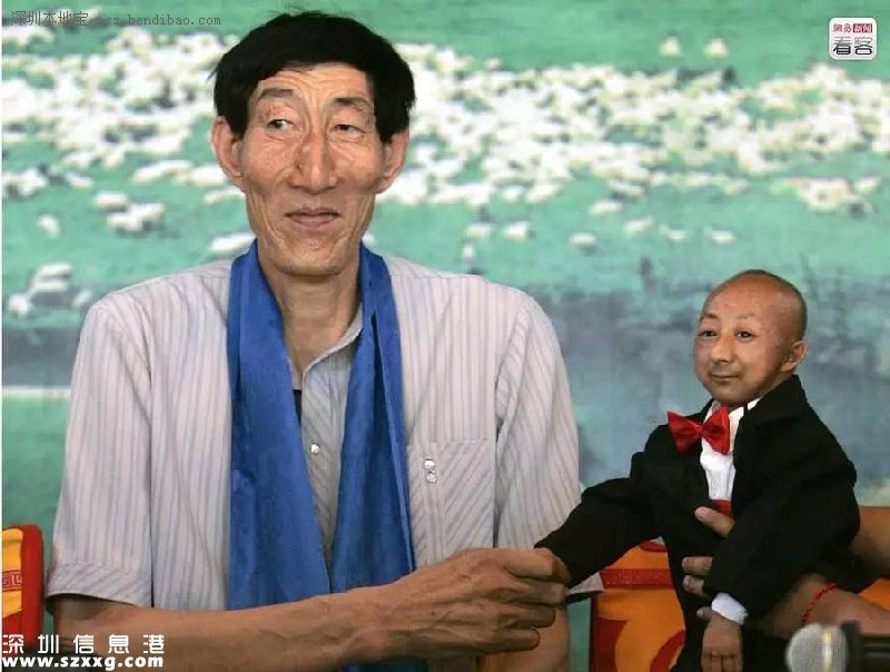 揚州炒飯紀錄無效 盤點中國式吉尼斯紀錄