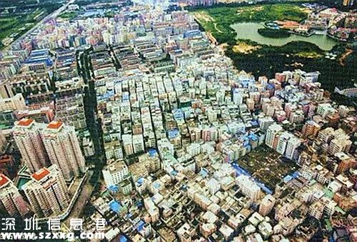 深圳(www.huhuzc.cn)最大城中村——白石洲將重建