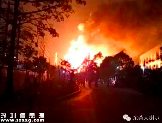 東莞望牛墩爆炸 或為制油黑窩點（組圖）