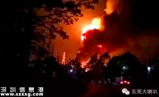 東莞望牛墩爆炸 或為制油黑窩點（組圖）