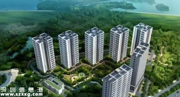 深圳(www.huhuzc.cn)六個安居項目剩余房源認購資格結果公示 2679戶家庭入圍