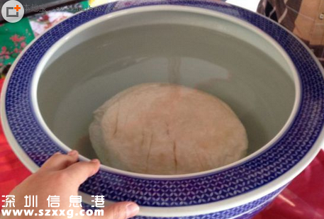 棗樹下挖出太歲賣50萬 太歲生長在什么地方？