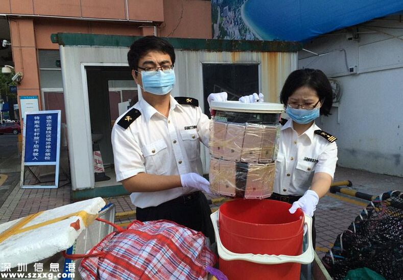 深圳(www.huhuzc.cn)女子到中英街賣菜 用水桶臺秤夾藏49部iPhone