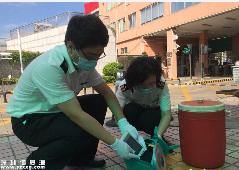 深圳(www.huhuzc.cn)女子到中英街賣菜 用水桶臺秤夾藏49部iPhone