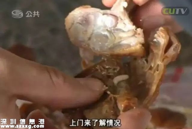 深圳(www.huhuzc.cn)吉之島烤鴨藏蛆蟲 顧客吃一半才發(fā)現(xiàn)