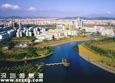 龍崗推出各項住房新政 領軍人才可免房租10年