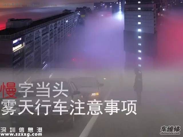 沈海高速多車相撞因團(tuán)霧 霧天行車注意事項牢記