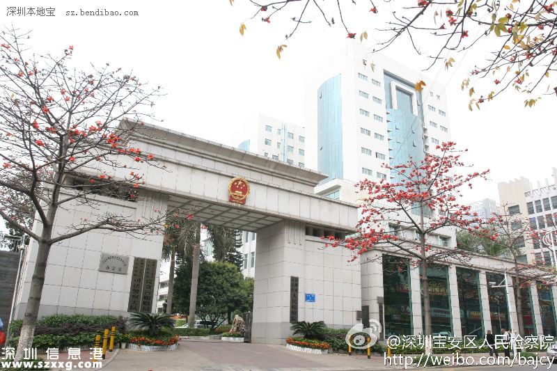 寶安民生：20%財政投入教育、打通28條斷頭路