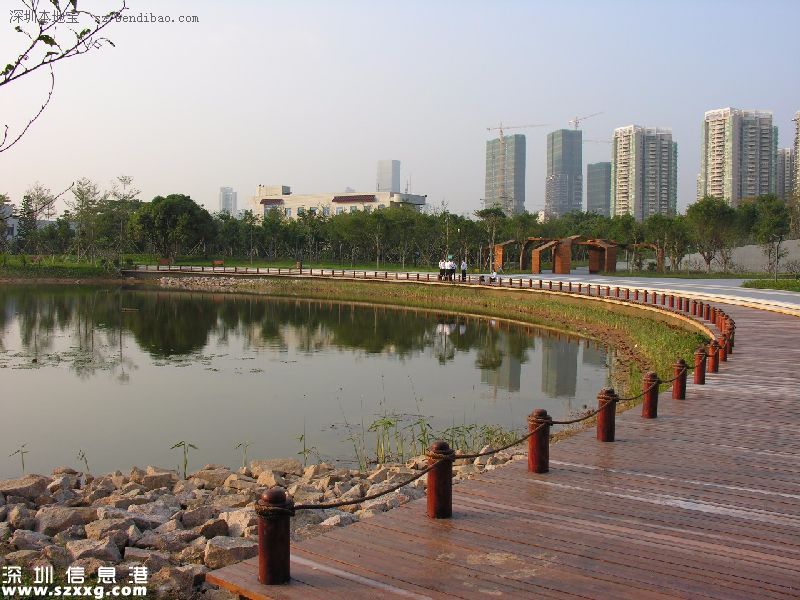 深圳(www.huhuzc.cn)紅樹林生態(tài)公園將開園 提前看公園有什么好玩的