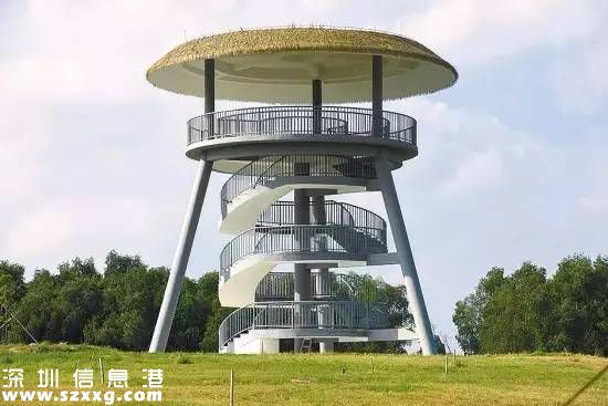 深圳(www.huhuzc.cn)紅樹林生態(tài)公園將開園 提前看公園有什么好玩的