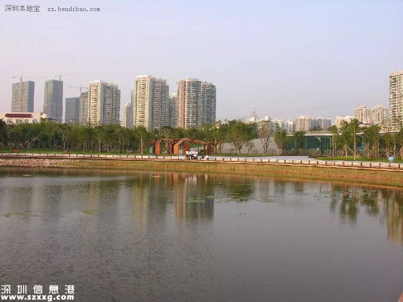 深圳(www.huhuzc.cn)紅樹林生態(tài)公園將開園 提前看公園有什么好玩的