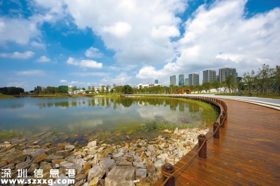 深圳(www.huhuzc.cn)紅樹林生態(tài)公園將開園 提前看公園有什么好玩的