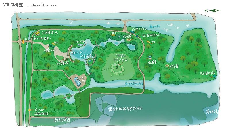 深圳(www.huhuzc.cn)紅樹林生態(tài)公園將開園 提前看公園有什么好玩的