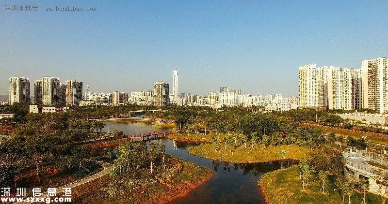 深圳(www.huhuzc.cn)紅樹林生態(tài)公園將開園 提前看公園有什么好玩的