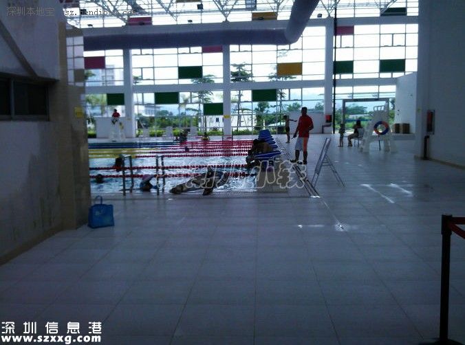 深圳(www.huhuzc.cn)坪山游泳館免費開放1個月 在哪如何去？