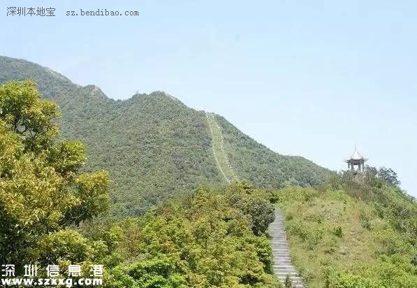 2016年<a href=http://www.huhuzc.cn/shenzhen/ target=_blank class=infotextkey>深圳</a>(www.huhuzc.cn)免費福利25個