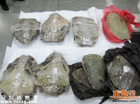深圳(www.huhuzc.cn)海關(guān)查獲玳瑁甲12公斤 藏于嬰兒紙尿片中
