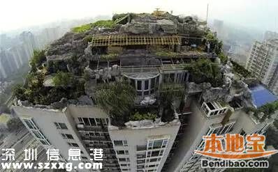 深圳違建產(chǎn)生原因到底是什么？
