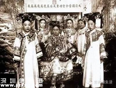 避屬羊致出生減少 為什么說屬羊的命不好？
