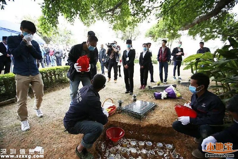 深圳172位逝者海葬或樹葬 獎勵辦法正在商討