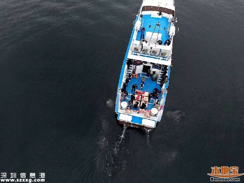 深圳172位逝者海葬或樹葬 獎勵辦法正在商討