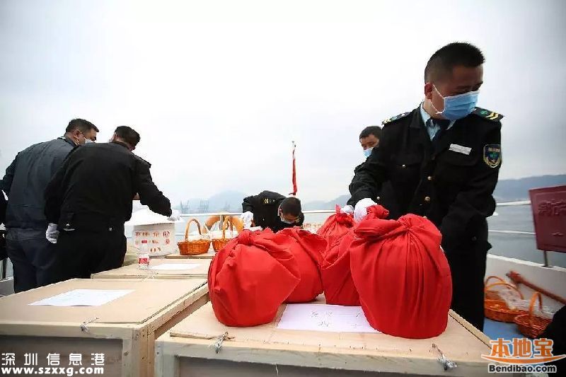 深圳172位逝者海葬或樹葬 獎勵辦法正在商討