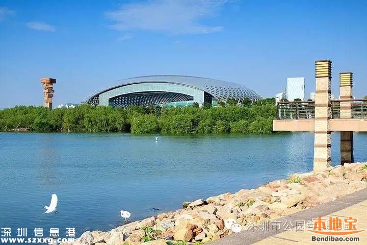 深圳灣公園人車混行怎么治？或增建7座橋